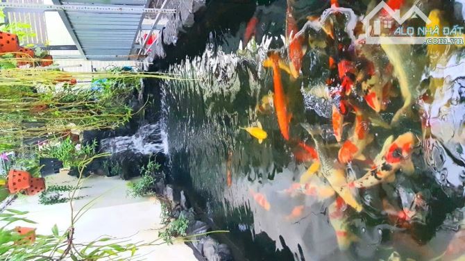 Bán đất dự án Đông Thủ Thiêm đường Nguyễn Duy Trinh Quận 2 cũ gần chợ (281m²) 117.5 tr/m² - 6