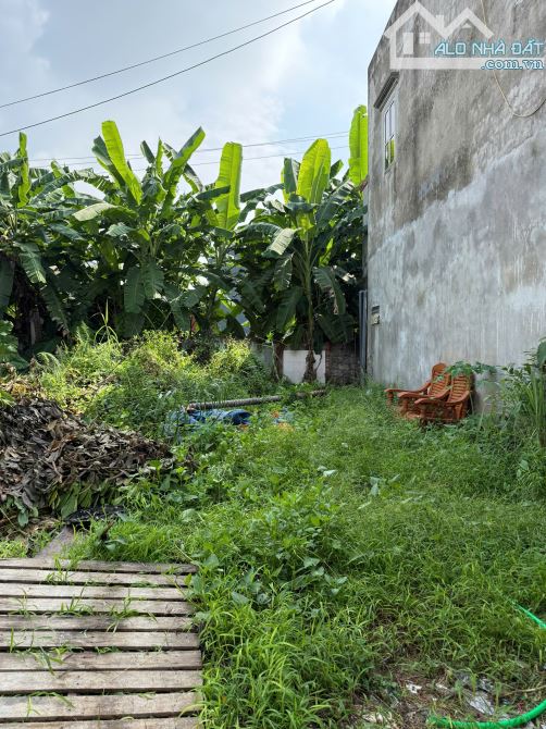 Bán đất ngõ Cam Lộ 1, Hùng Vương, Hồng Bàng lô 53,4m2 – giá chỉ có 900 triệu