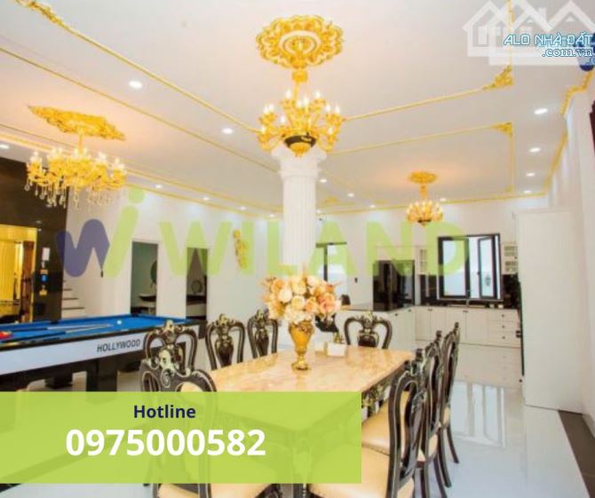 BÁN BIỆT THỰ KHU ĐỒI NGỌC TƯỚC, P. THẮNG TAM ( DT: 345M2) , SHR, 1 TRỆT 2 LẦU, GIÁ 65 TỶ. - 1