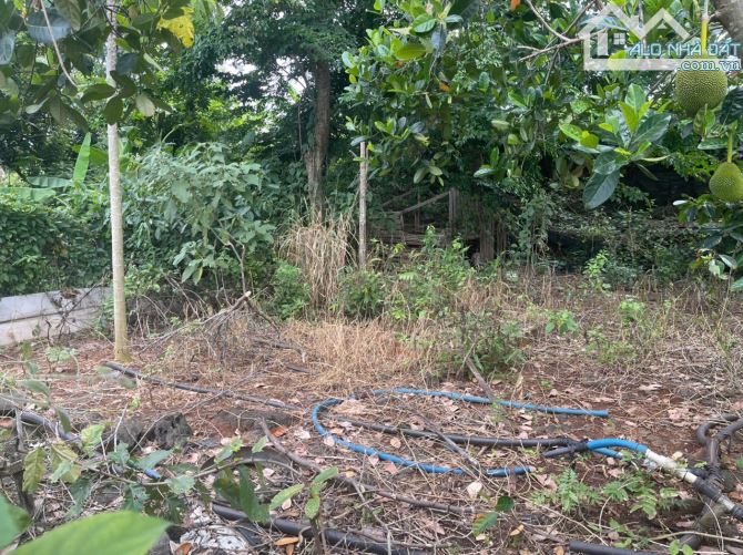 Gấp gấp ♦️B.án đất măt tiền nhựa tổng diện tích 10.000m2 quy hoạch SKC ,Thống Nhất -
