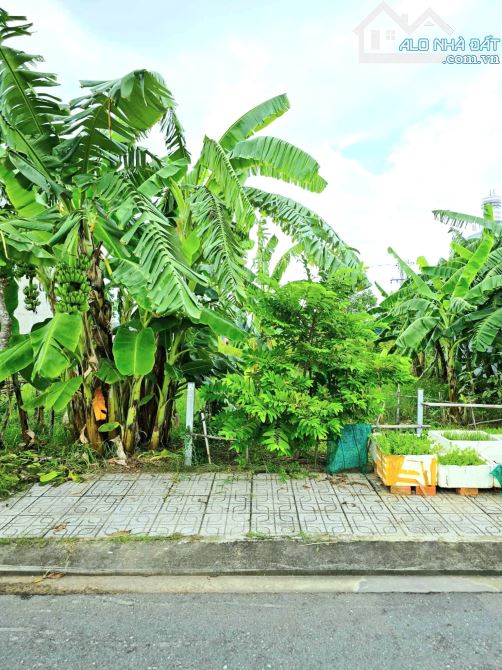🍍chỉ 3,6 tỷ (CÒN BỚT)🥑Đất nền Đảo KIm Cương - 64m2 (4x16m) - Đường 10m Trường Thạnh, Thủ