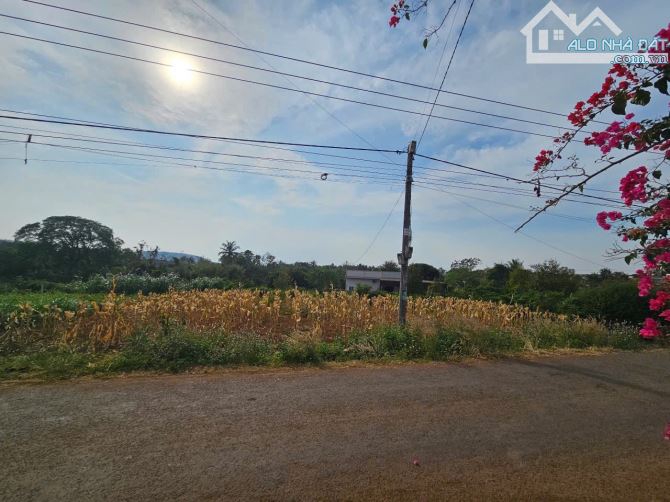 🔥 Chỉ 870 triệu – Đất thổ cư gần hồ Ea Kao, mặt tiền rộng – Vị trí siêu tiềm năng! 🔥