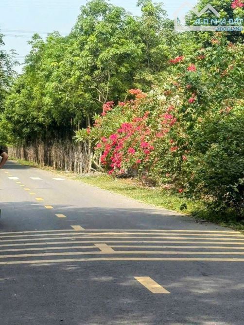 BÁN ĐẤT MT NHỰA, P.AN ĐIỀN, TP.BẾN CÁT, DT:14,3x65, TC100M2, SHR, GIÁ 3,5 TỶ