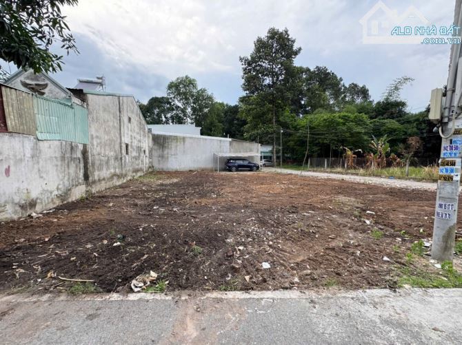 CẦN VỐN LÀM ĂN BÁN LÔ ĐẤT 8X20 MẶT TIỀN BÌNH LỢI P13