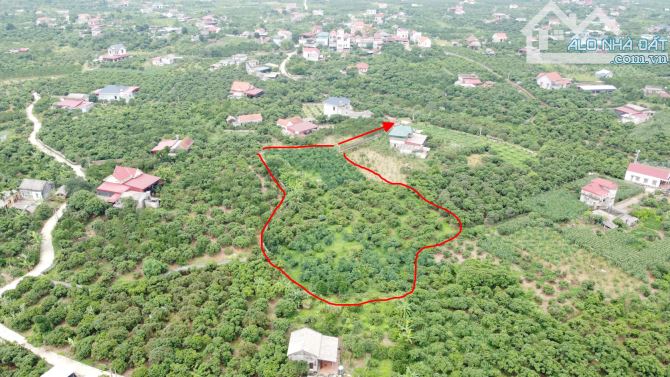Tân yên, Bắc Giang, 4000m2, 400TC, ô tô, 50m ra liên xã, 2,7 tỷ, siêu hiếm