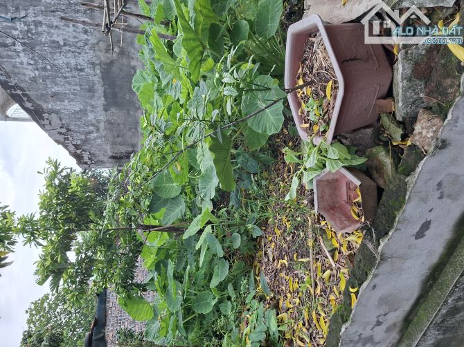 BÁN ĐẤT LỆ CHI -GIA LÂM -Ô TÔ VÀO ĐẤT -GẦN Ô TÔ TRÁNH -60M -CHƯA ĐẾN 3 TỶ