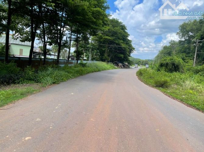 》B.án 3 thửa đất CCN-Tam Phước . Biên Hòa  ●Diện tích:  Thửa 1: 16.000m² (80×200) Thửa 2: