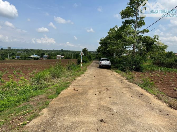 LÔ ĐẤT ĐẸP, PHỦ HỒNG TOÀN BỘ, CÁCH BÌNH BA - ĐÁ BẠC CHỈ 500M, THUẬN TIỆN PHÂN LÔ