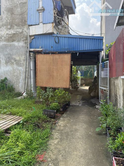 Bán đất ngõ Cam Lộ 1, Hùng Vương, Hồng Bàng lô 53,4m2 – giá chỉ có 900 triệu - 1