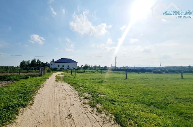 Bán 1003m2 đất ODT Tân Bình - LaGi ( Khu rừng vàng ) gần Biển 1.75 tỷ - 1