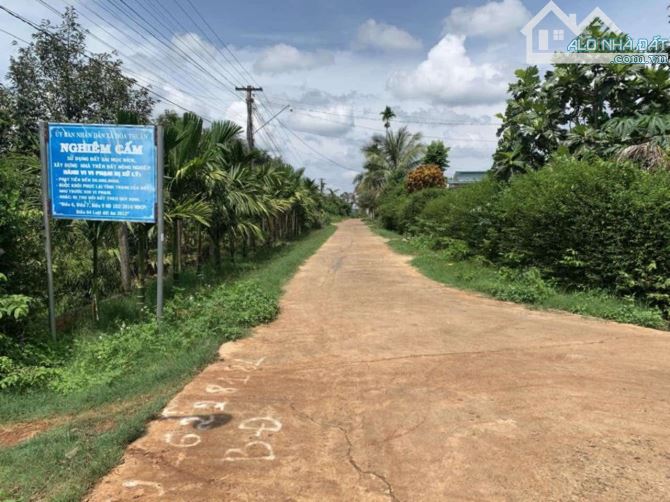 ĐẤT HẺM ĐƯỜNG 26A ĐẠT LÝ XÃ  HOÀ THUẬN P TÂN AN - 1