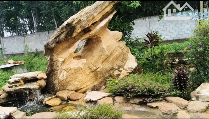KHU NHÀ VƯỜN NGHỈ DƯỠNG 5.250M² – MẶT TIỀN BÙI THỊ NGỌN – CHỈ HƠN 3 TRIỆU/M²! - 1