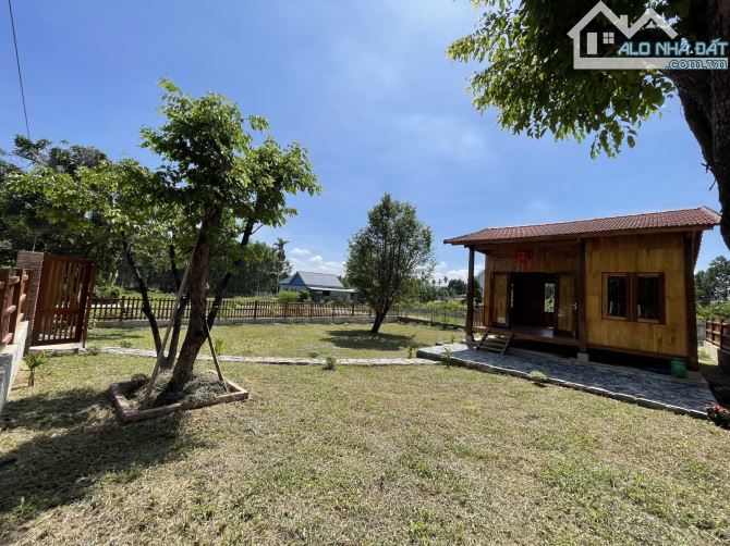 Bán 465m2 Đất - Hoà Phú - Chỉ 2.8 tỷ thương lượng - 1