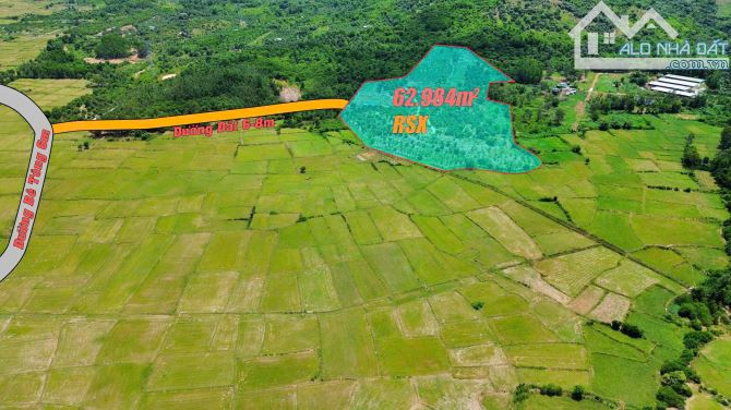 Bán Nhanh Faml Hơn 6Ha View Đồng Thị Trấn - Diên Sơn Diên Khánh - 1