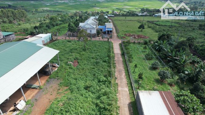 Cần bán lô đất siêu đẹp 3 mặt tiền đường Trường Chinh, có sẵn kho, Pleiku, Gia Lai - 1