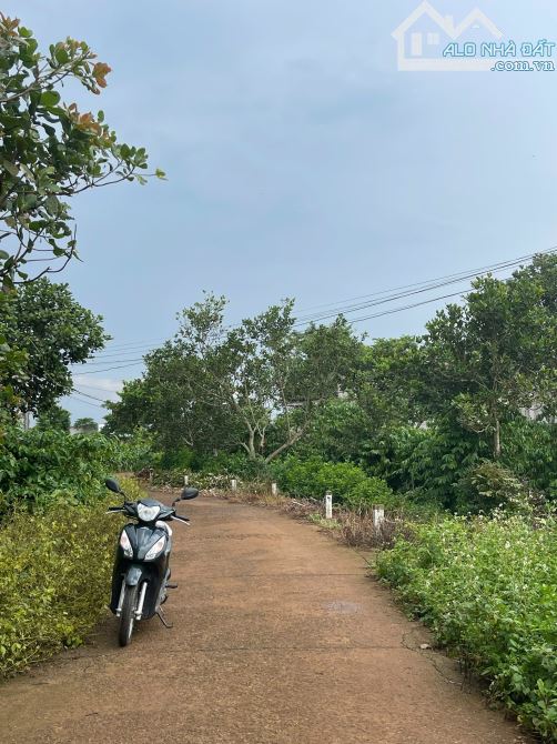 CẦN BÁN 1 SÀO LÁNG LỚN - CHÂU ĐỨC ( XUYÊN MỘC - BRVT )/ GIÁ RẺ - 1