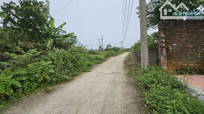 XUÂN ĐỒNG TÂN MINH,ĐẤT ĐẸP CHIA LÔ QUY HOẠCH ỔN ĐỊNH, ĐẦU TƯ SINH LỜI CAO, Ô TÔ VÀO ĐẤT - 1