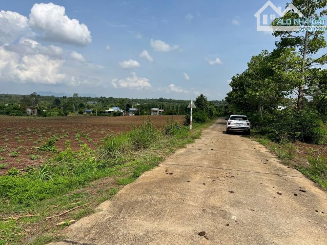 LÔ ĐẤT ĐẸP, PHỦ HỒNG TOÀN BỘ, CÁCH BÌNH BA - ĐÁ BẠC CHỈ 500M, THUẬN TIỆN PHÂN LÔ - 1