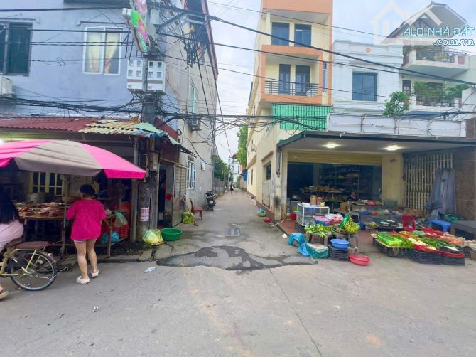 Đất kinh doanh nhỏ lẻ đc tại Cổ Dương, Tiên Dương, Đông Anh cho nhà đầu tư - 2