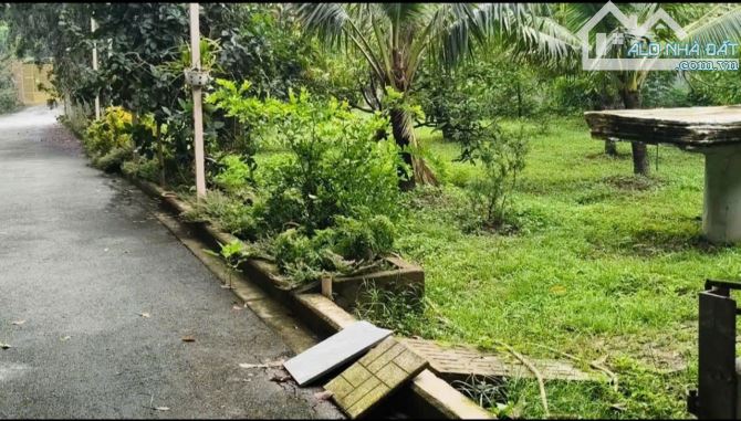 KHU NHÀ VƯỜN NGHỈ DƯỠNG 5.250M² – MẶT TIỀN BÙI THỊ NGỌN – CHỈ HƠN 3 TRIỆU/M²! - 2