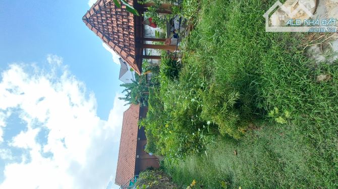 BÁN ĐẤT TRẢNG DÀI 848m2 GẦN CHỢ, 2 MẶT ĐƯỜNG RỘNG 6m, CÓ SẴN 414m2 THỔ CƯ - 2
