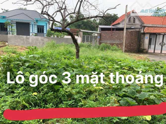 Bán Đất -Xã Minh Trí -( Sóc Sơn)-60M2-1,5Tỷ -Full TC-Lô Gốc 3 Mặt Thoáng - OTO vào Tận Đất - 2