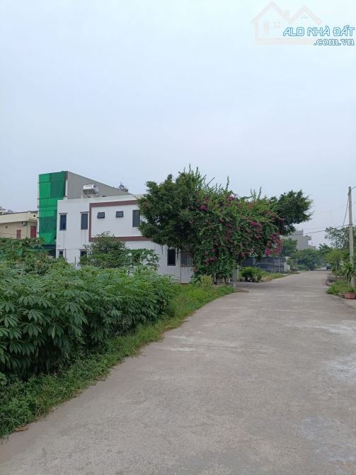 bán đất  xã Song An - Vũ Thư, thái bình cách đường Nguyễn Trãi 20m,DT: 99m,MT: 5m, dài:20m - 2