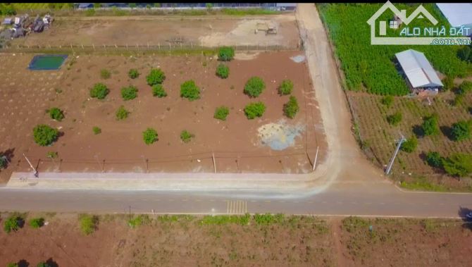 Sỡ Hữu Lô Mặt Tiền Đường Nhựa Gần Sân Bay Liên Khương – Giá Hơn 1 Tỷ – Sổ Riêng - 3