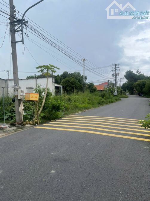 BÁN ĐẤT tặng 03 CĂN NHÀ, MT DH609, PHÚ AN, TP.BẾN CÁT, DT:11,3x18,8, TC100%, SHR, 1,950 TỶ - 3