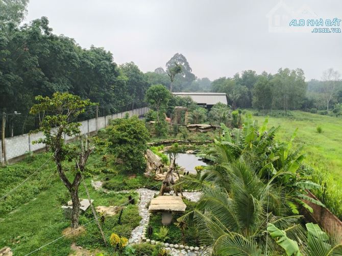 KHU NHÀ VƯỜN NGHỈ DƯỠNG 5.250M² – MẶT TIỀN BÙI THỊ NGỌN – CHỈ HƠN 3 TRIỆU/M²! - 3