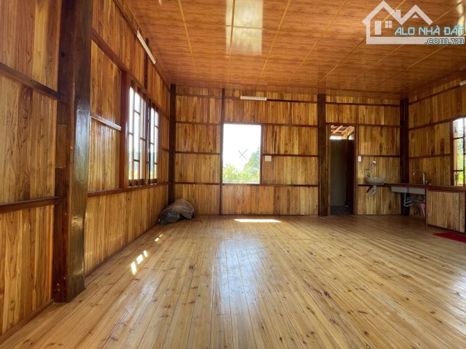 Bán 465m2 Đất - Hoà Phú - Chỉ 2.8 tỷ thương lượng - 3