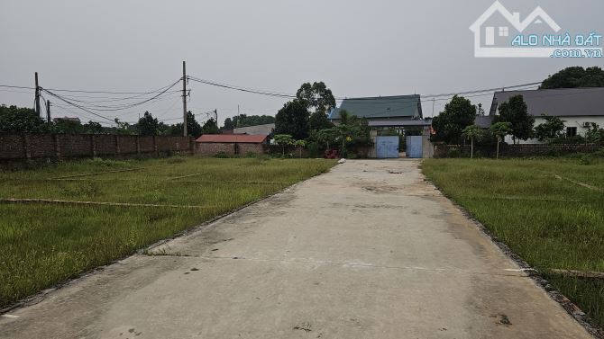 XUÂN ĐỒNG TÂN MINH,ĐẤT ĐẸP CHIA LÔ QUY HOẠCH ỔN ĐỊNH, ĐẦU TƯ SINH LỜI CAO, Ô TÔ VÀO ĐẤT - 3