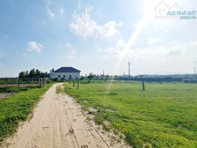 Bán 1003m2 đất ODT Tân Bình - LaGi ( Khu rừng vàng ) gần Biển 1.75 tỷ - 4