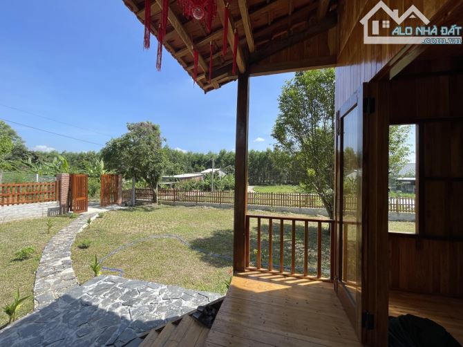 Bán 465m2 Đất - Hoà Phú - Chỉ 2.8 tỷ thương lượng - 4