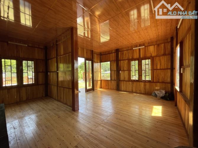 Bán 465m2 Đất - Hoà Phú - Chỉ 2.8 tỷ thương lượng - 5