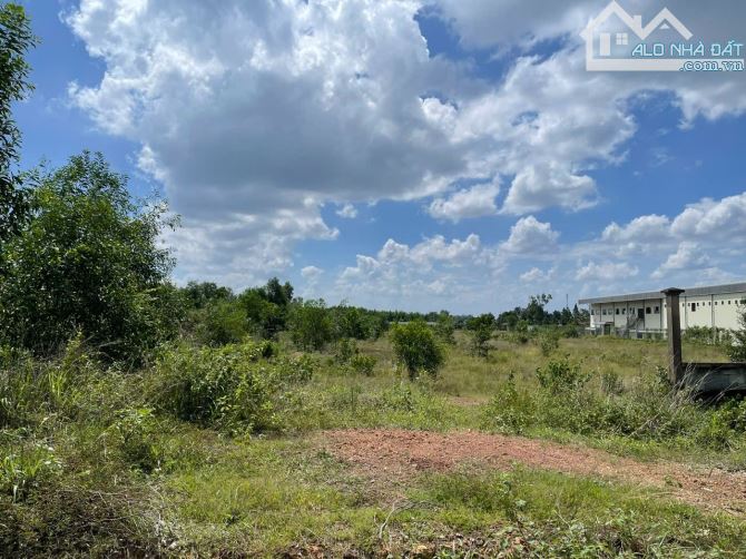 》B.án 3 thửa đất CCN-Tam Phước . Biên Hòa  ●Diện tích:  Thửa 1: 16.000m² (80×200) Thửa 2: - 6