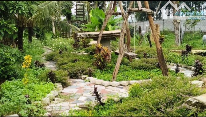 KHU NHÀ VƯỜN NGHỈ DƯỠNG 5.250M² – MẶT TIỀN BÙI THỊ NGỌN – CHỈ HƠN 3 TRIỆU/M²! - 7