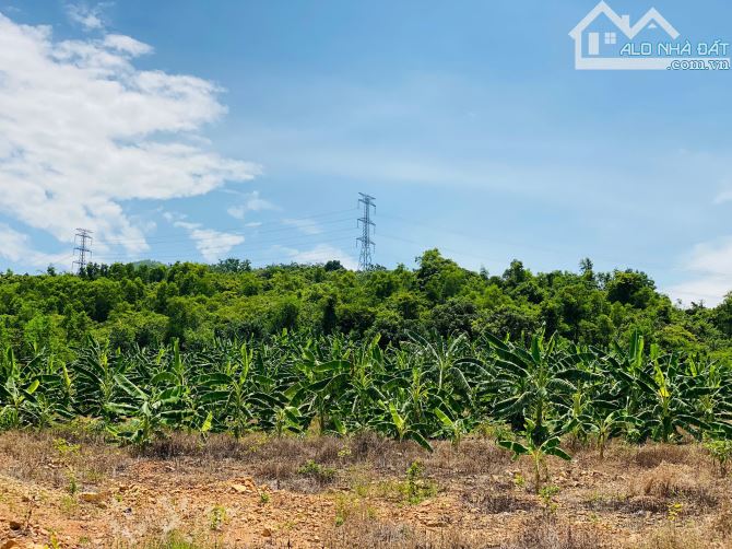 Bán Nhanh Faml Hơn 6Ha View Đồng Thị Trấn - Diên Sơn Diên Khánh - 9