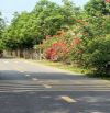 BÁN ĐẤT MT NHỰA, P.AN ĐIỀN, TP.BẾN CÁT, DT:14,3x65, TC100M2, SHR, GIÁ 3,5 TỶ