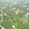 Tân yên, Bắc Giang, 4000m2, 400TC, ô tô, 50m ra liên xã, 2,7 tỷ, siêu hiếm