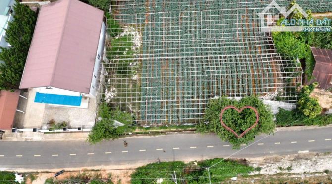 CHÍNH CHỦ CẦN BÁN HH2% Bán đất mặt tiền Đa Phú phường 7 Đà Lạt đầu tư kinh doanh - 1