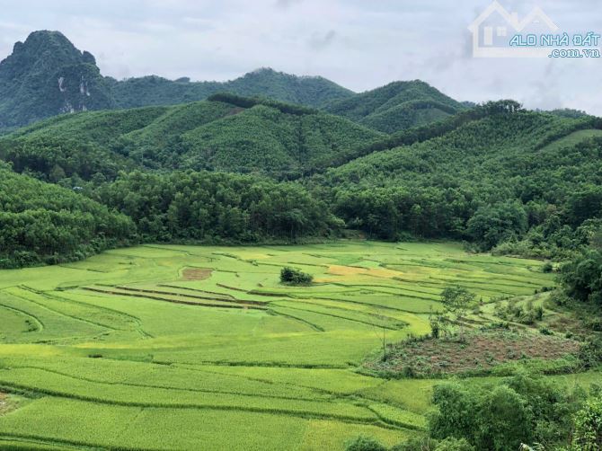 Chính chủ em bán 5000m2 đất view hồ, cánh đồng lúa xanh ngát tại Đú Sáng Kim Bôi, Hòa Bình