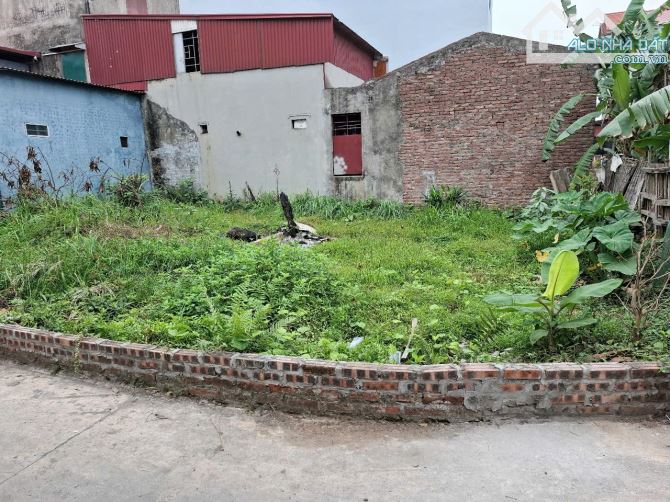 BÁN 50M ĐẤT TẠI LẠC HOÀI -SONG HỒ -THUẬN THÀNH -Ô TÔ CHẠY THÔNG