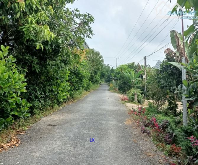 🔰 Bán 7.000m² (40m x 175m, thổ 400m², còn lại đất lúa)  🔰 Đường nhựa 3.5m, xã Mỹ Thọ