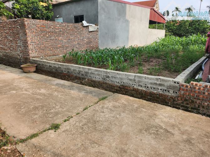 BÁN ĐẤT THÔN CD ,QUÁN TRẠCH ,LIÊN NGHĨA HƯNG YEN_ ÔT ĐI VÀO ĐẤT