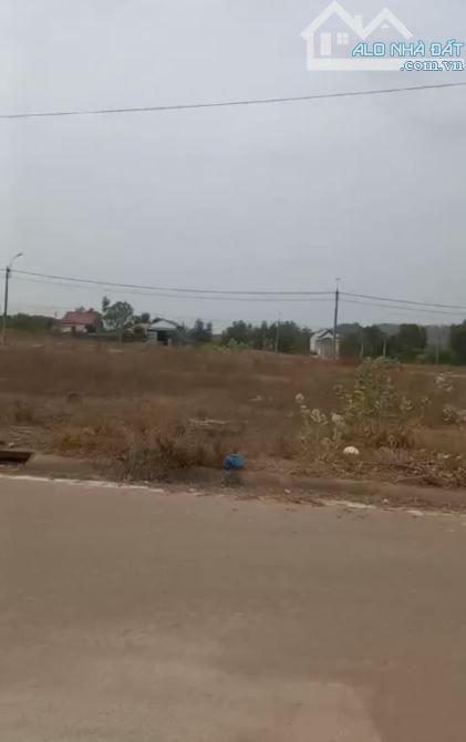 5000m phủ hồng,nở hậu, mặt tiền đường nhựa  khu dân cư, cách trường học 100m, cách chợ 1km