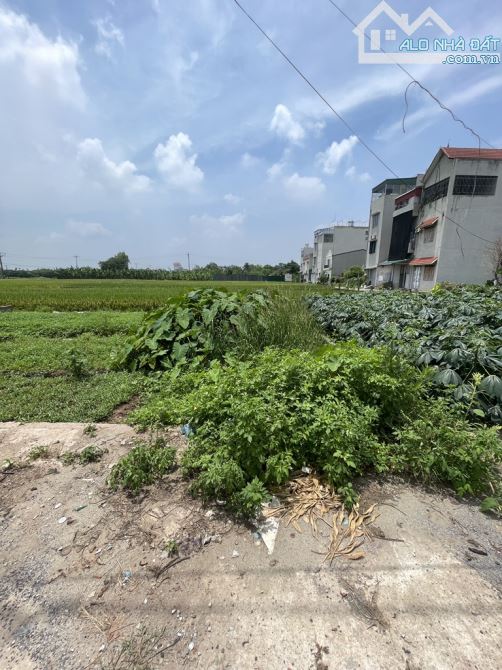 BÁN ĐẤT ĐẤU GIÁ PHÚC THÀNH BIÊN GIANG, PHÂN LÔ VỈ HÈ HẠ TẦNG ĐỒNG BỘ
