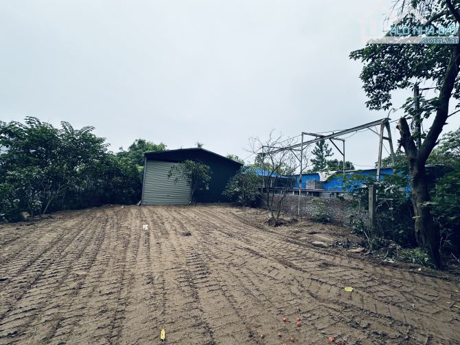 Cho thuê 100/250m2 kho/sân bãi mới dựng