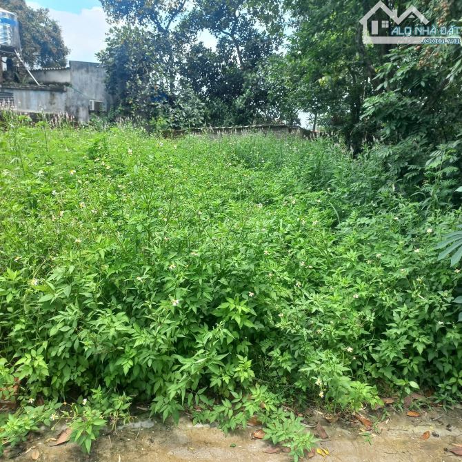🏡 BÁN ĐẤT đẹp 100m. Mt5,8m giá 1 tỉ 55 ngõ 0t0 HỒNG KỲ, SÓC SƠN 📐 Diện tích: 100m² 🏠 Mặ