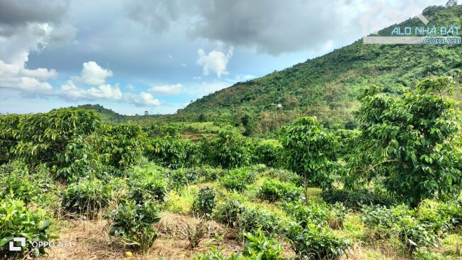 Cần bán 1,7sao hẻm chi lăng thôn 16 lộc Thành